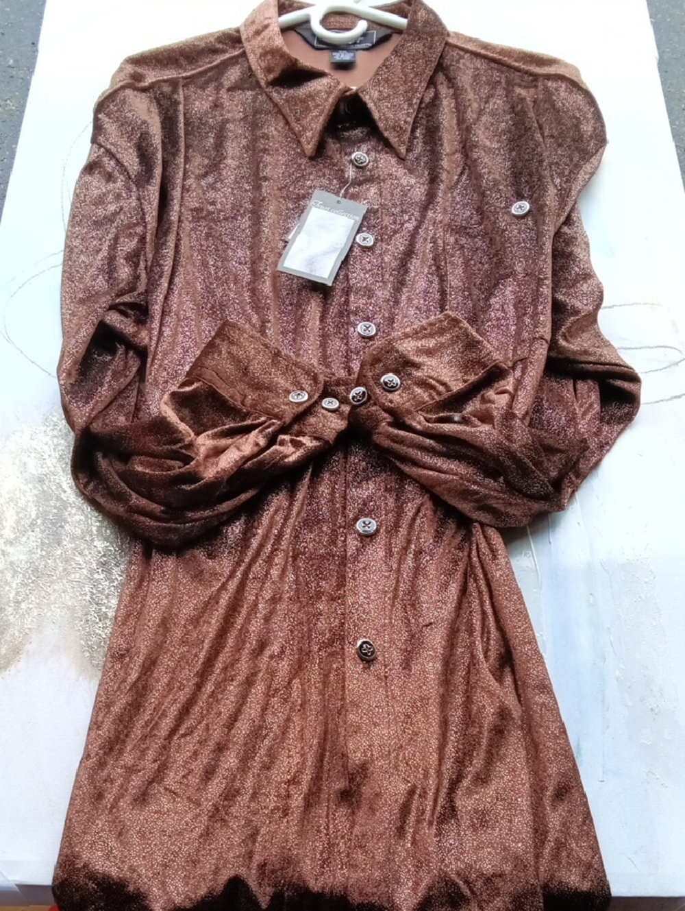 Shimmery Brown Long-Sleeve Button Front Dress.
